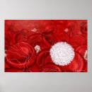Recherche de rouge sang posters Grossissement
