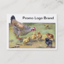 Recherche de poussins cartes visite Poulets