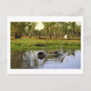 Zoek naar kakadu briefkaarten Australië