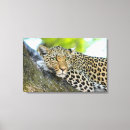 Recherche de regard art De près