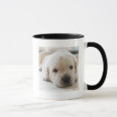 Zoek naar labrador puppy mokken Schattig