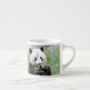 Recherche de un panda géant tasses Asie