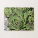 Recherche de succulent puzzles Floral