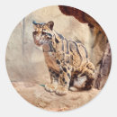 Recherche de tachetées autocollants Photographie