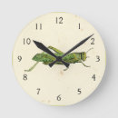 Recherche de sauterelle horloges Vert