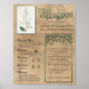 Recherche de magick art Witch