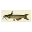 Recherche de poisson chat posters Pêche