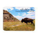 Recherche de landes magnets National