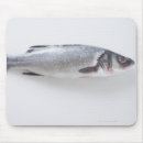 Recherche de créature tapis souris Photographie