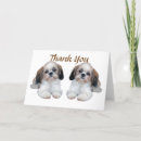 Recherche de shitzu vœux cartes Shihtzu