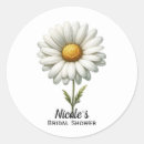 Recherche de et marguerite blanche Rustique