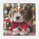 Recherche de beagles ornements Dog