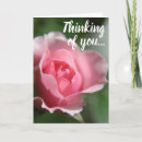 Recherche de thinking of you vœux cartes Cute