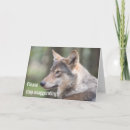 Zoek naar stop kaarten Motivatie