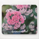 Recherche de sedum tapis souris Fleur