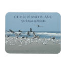 Recherche de oiseau de vol magnets Oiseaux