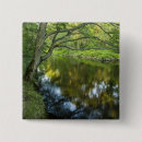 Recherche de de rivière badges Bois