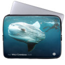 Recherche de doc s coques Wildlife