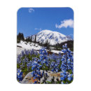 Recherche de rain magnets Montagne