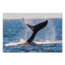 Zoek naar migratie posters Zee