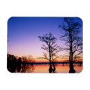 Recherche de refuge magnets Faune