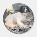 Recherche de château magnets Espagne