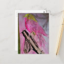 Recherche de jolis oiseaux cartes postales Rose