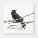 Recherche de fou magnets Noir