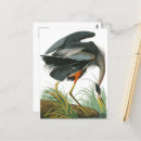 Recherche de john james audubon cartes postales Grue