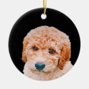 Zoek naar labradoodle ornamenten Puppy