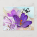 Recherche de fleurs de crocus cartes postales Floral