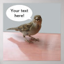 Recherche de bubbles posters Animal