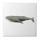 Recherche de vie aquatique carreaux Poisson