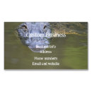 Recherche de marais cartes visite Nature