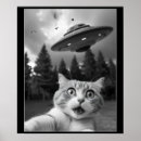 Zoek naar grappige katten posters Kattenliefhebber