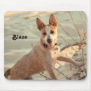 Recherche de mousepad moutons tapis souris Chiot