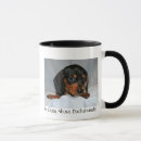 Recherche de chien teckel tasses Chiens