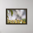 Zoek naar kolibrie kunst Plant