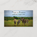 Recherche de africain cartes visite Zèbre