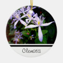 Recherche de souvenirs ornements Nature