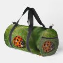 Recherche de ladybug sacs Insecte