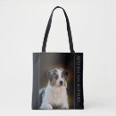 Recherche de bergers australiens accessoires Pour tous