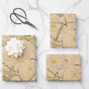 Zoek naar alphonse mucha cadeaupapier Floreel
