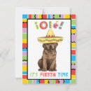 Recherche de chocolat labrador invitations Chien