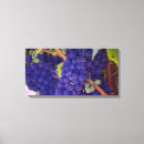 Zoek naar wijngaard kunst Vrucht