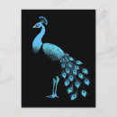 Recherche de conception de plume cartes postales Plumes