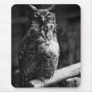 Recherche de hibou à cornes tapis souris Hiboux