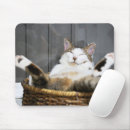 Recherche de chat tapis souris Mignonne