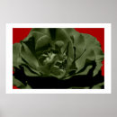 Recherche de jardin olive art Botanique