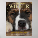 Recherche de photo faite sur commande posters Animal